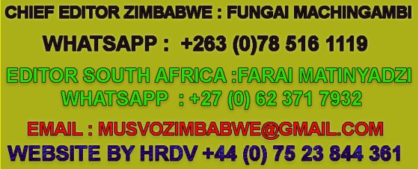 Get In Touch Musvo Zimbabwe Get In Touch Musvo Zimbabwe